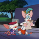 Illustration for article titled Every Single Pinky and the Brain Plan to Take Over the World, Ranked